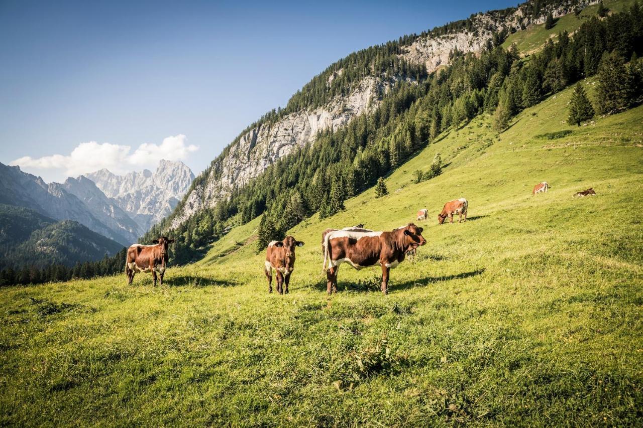 Exklusive Fewo Drachleck Mit 3 Schlafzimmern & Panoramabergblick In Bester Lage Schönau am Königssee Exterior foto